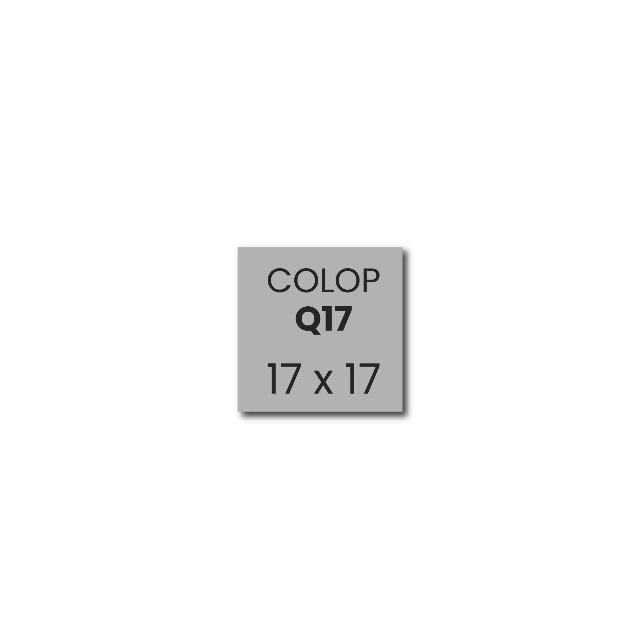 Stempelplaatje Colop Printer Q17