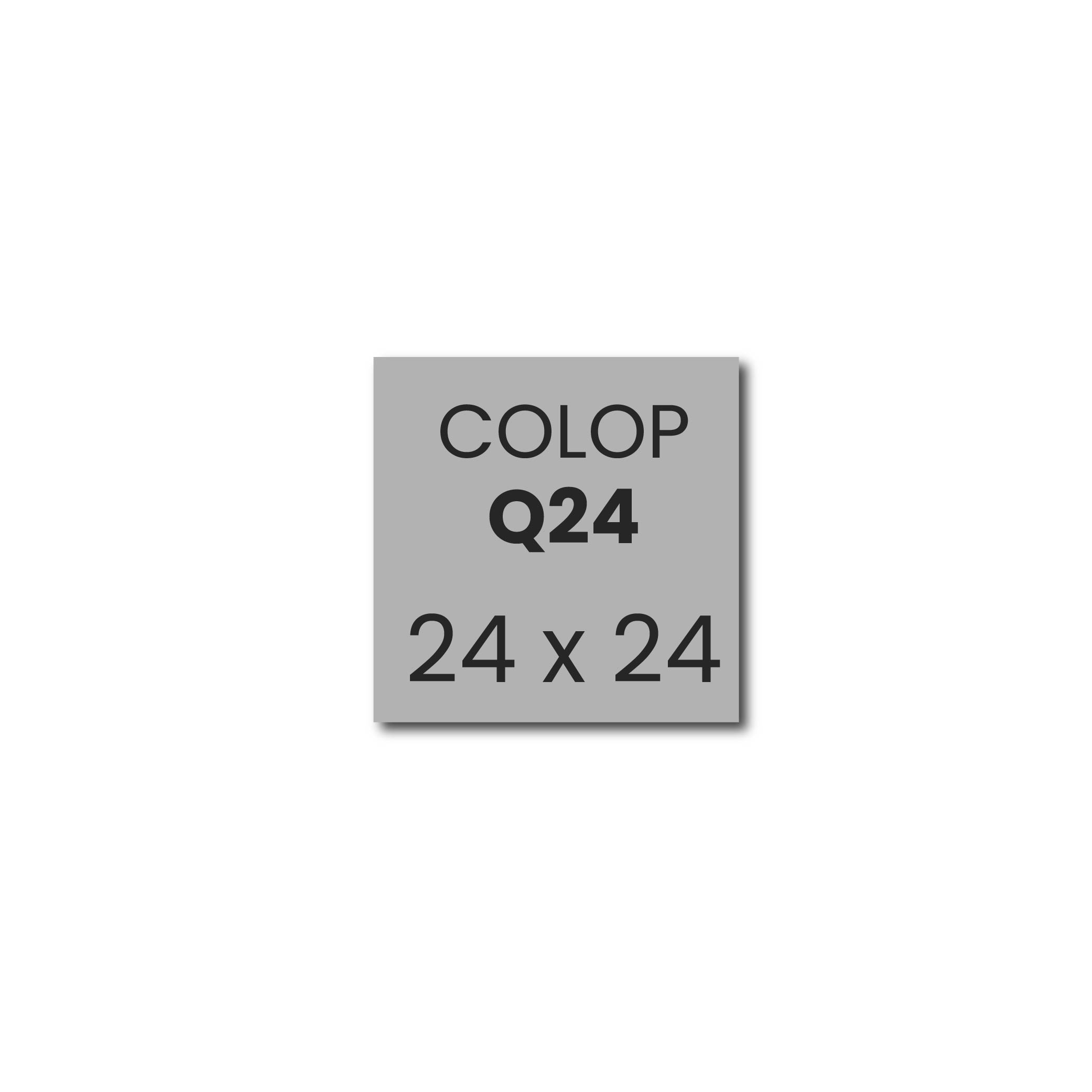 Stempelplaatje Colop Printer Q24