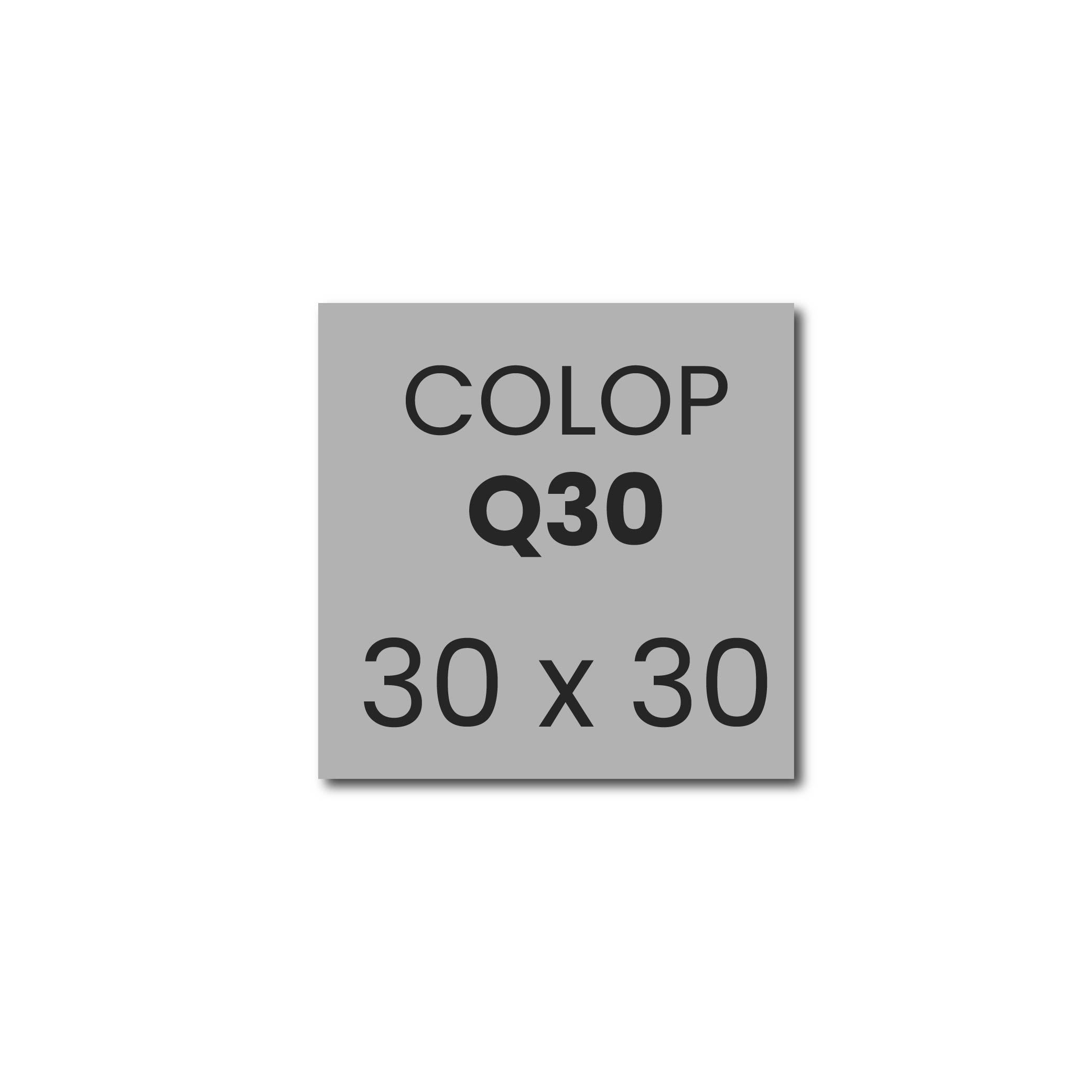 Stempelplaatje Colop Printer Q30