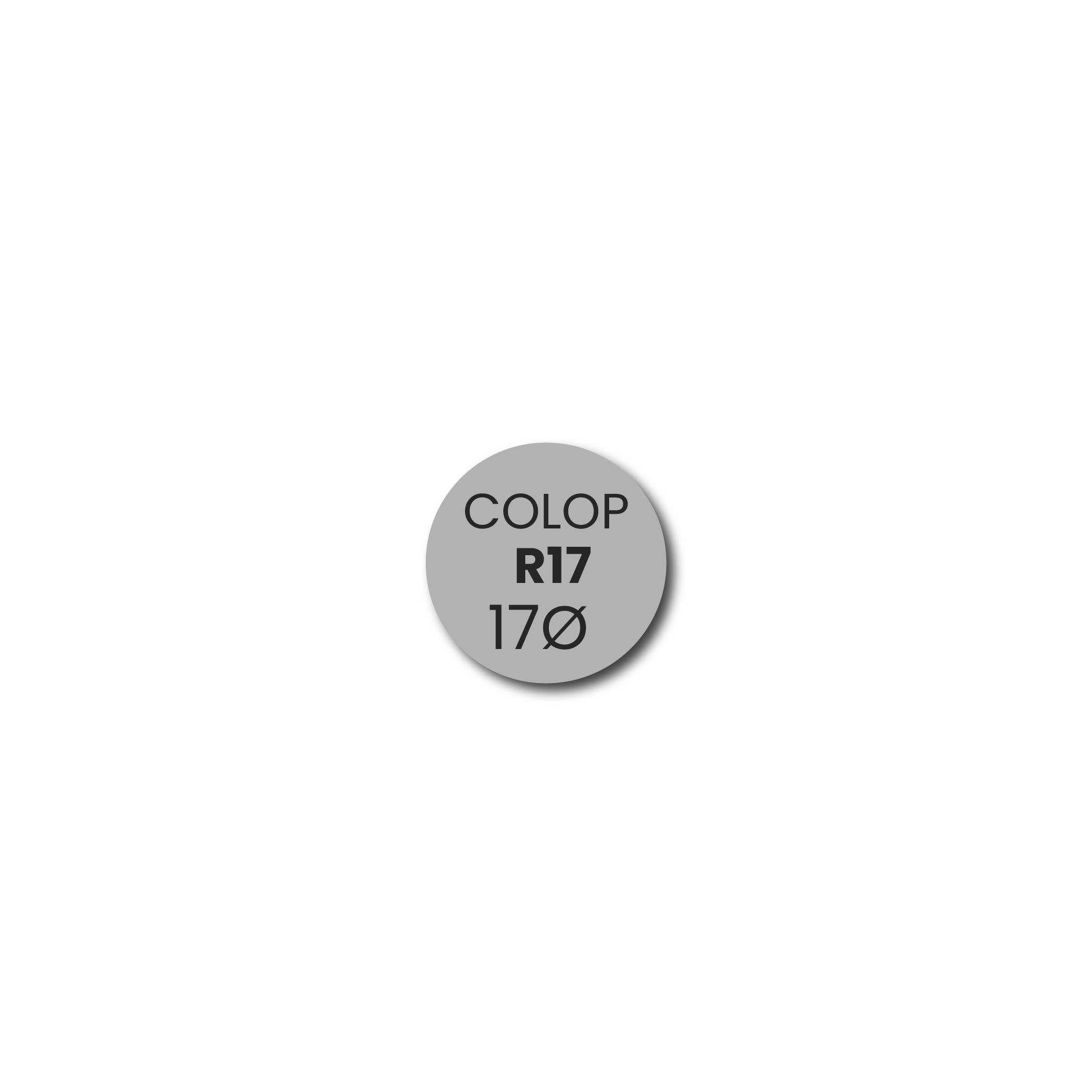 Stempelplaatje Colop Printer R17