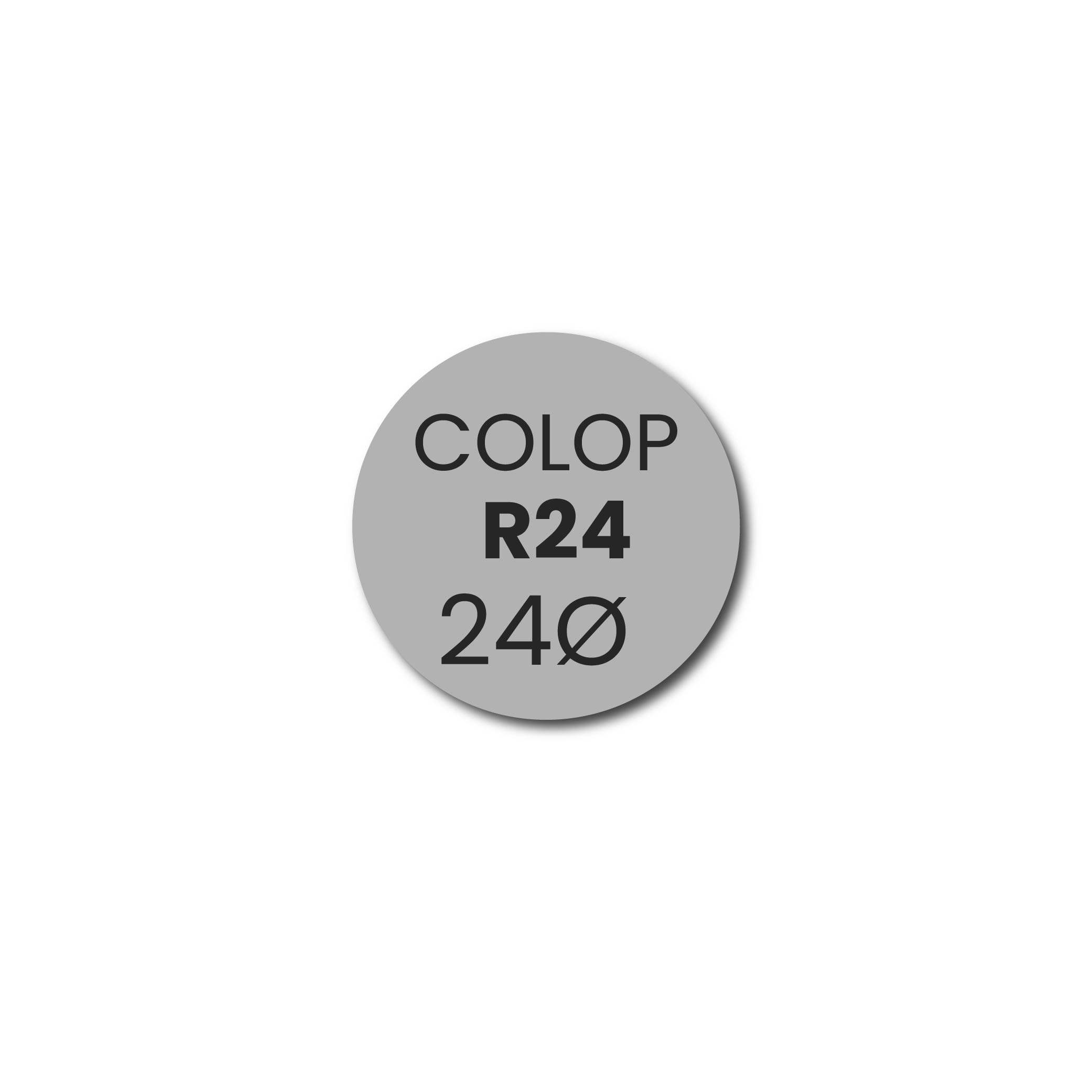 Stempelplaatje Colop Printer R24