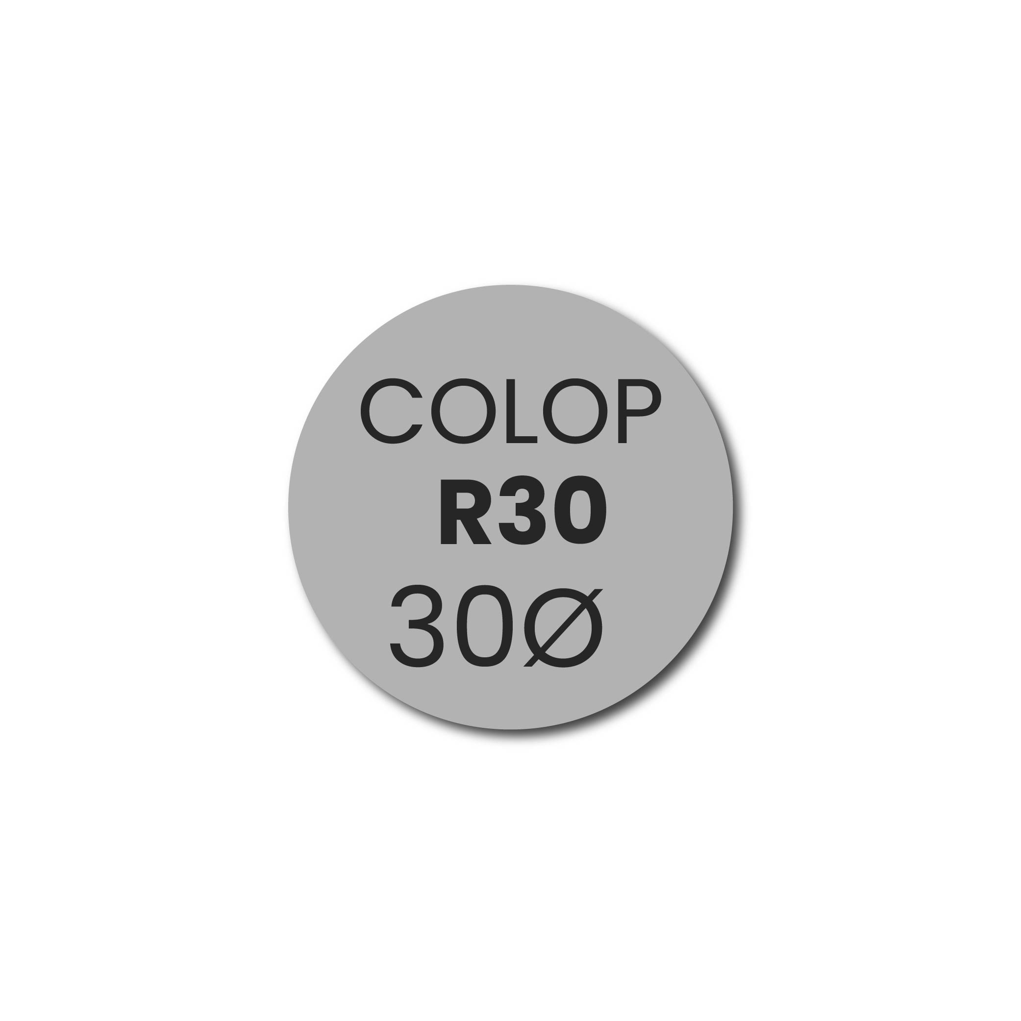 Stempelplaatje Colop Printer R30